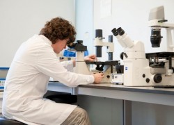 Investigador en laboratorio